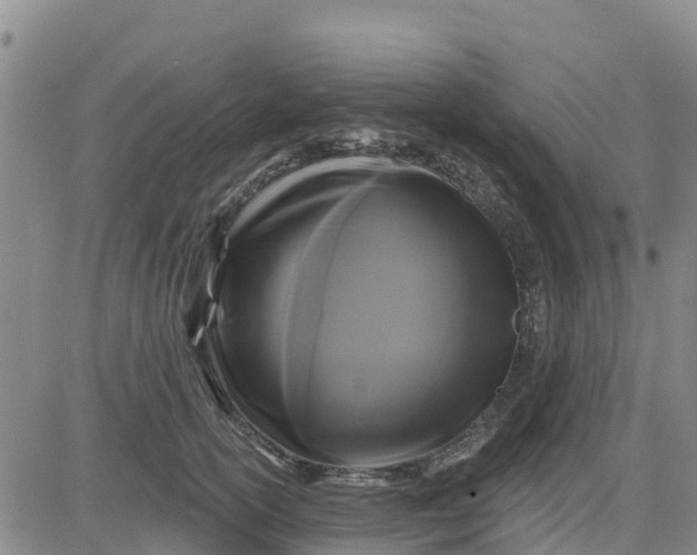 X0000080690754200612301449