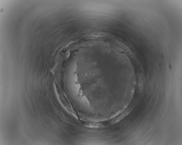 X0000080690758200612301449