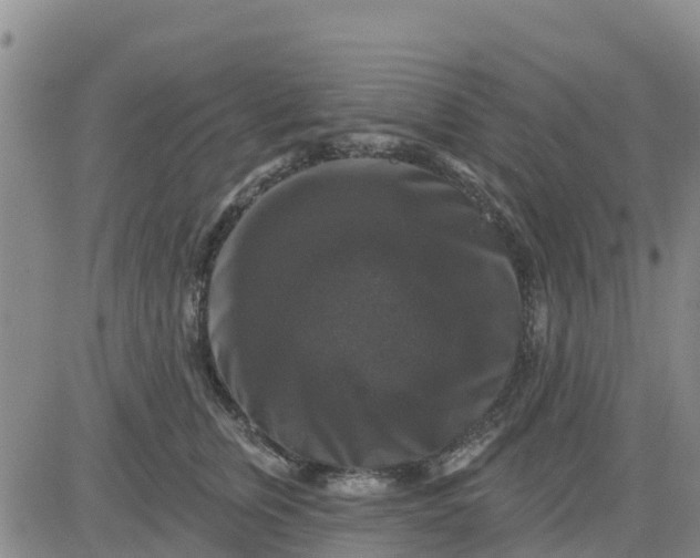 X0000080690759200612301449