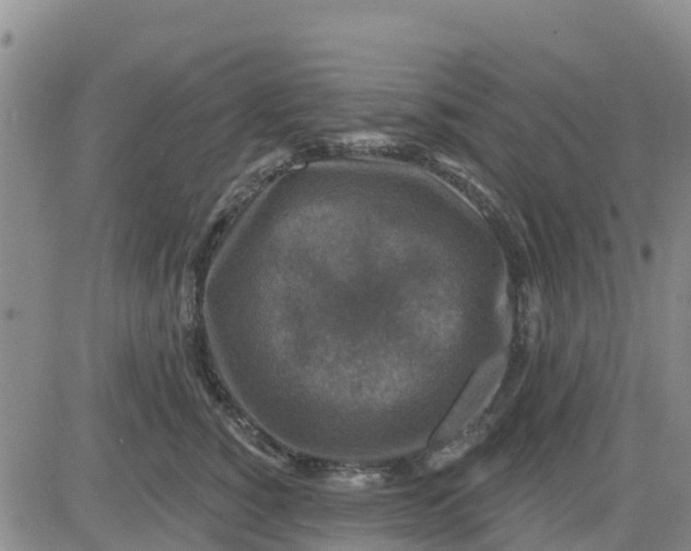 X0000080690760200612301449