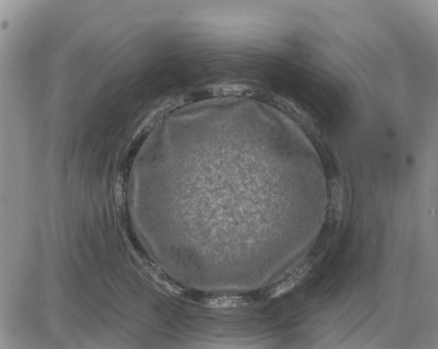 X0000080690761200612301449