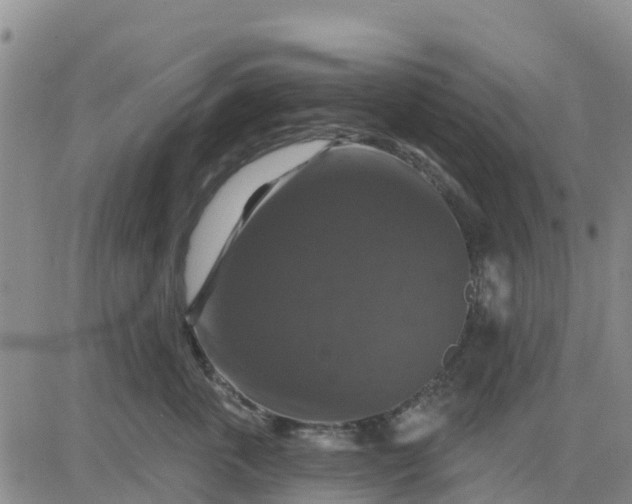 X0000080690763200612301449