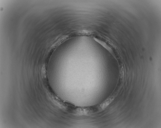 X0000080690764200612301449