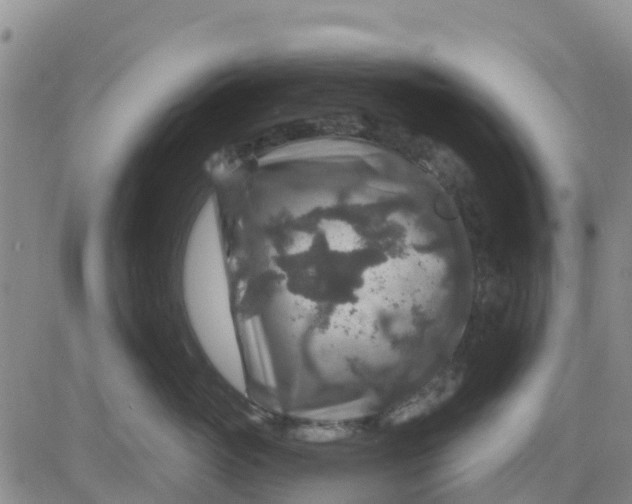 X0000080690765200612301449