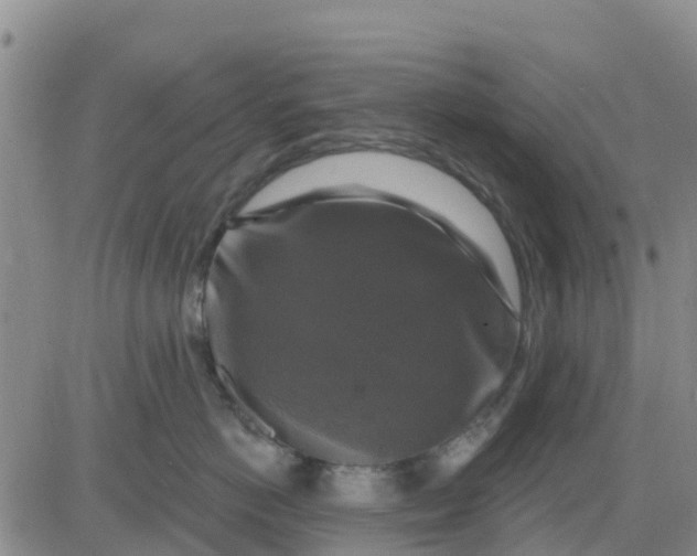 X0000080690766200612301449