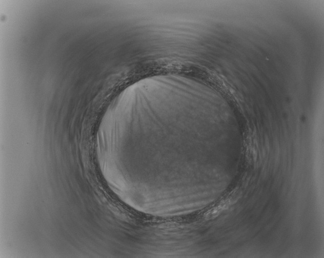 X0000080690769200612301448