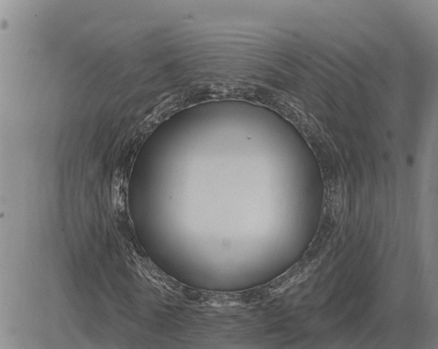 X0000080690770200612301448