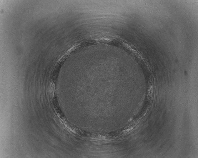 X0000080690772200612301448