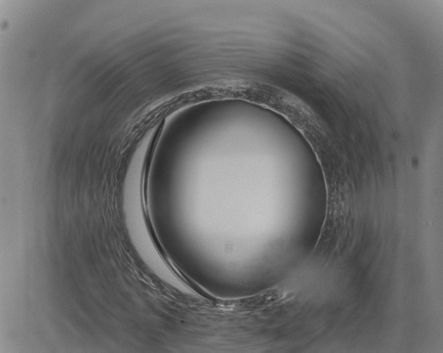 X0000080690773200612301448