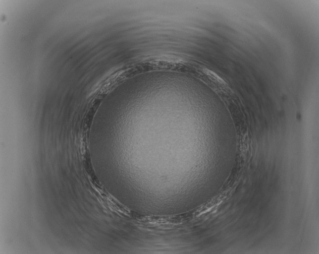 X0000080690774200612301448