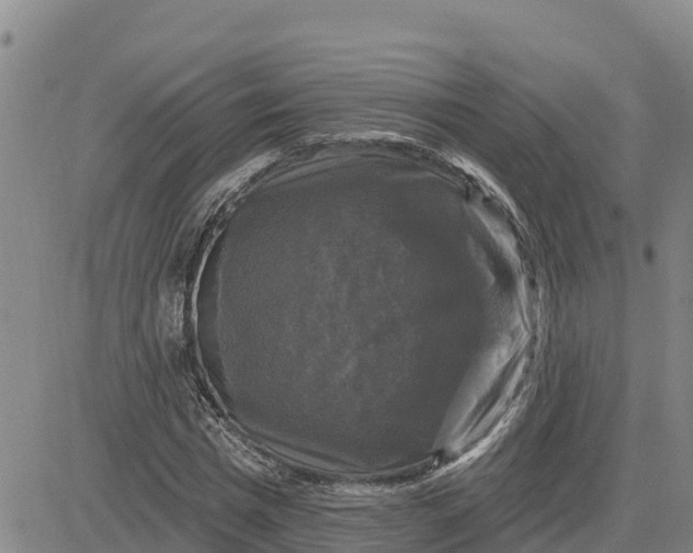 X0000080690777200612301448