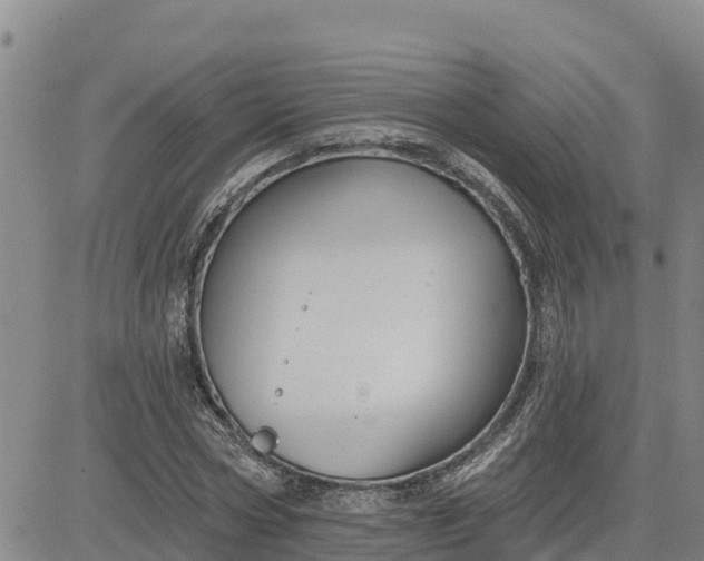 X0000080690778200612301448