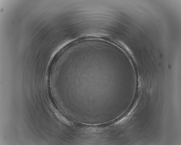 X0000080690779200612301448