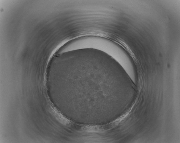 X0000080690780200612301448