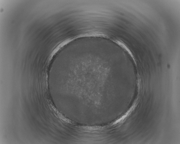 X0000080690781200612301448