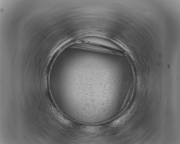 X0000080690782200612301448