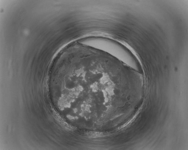 X0000080690783200612301448