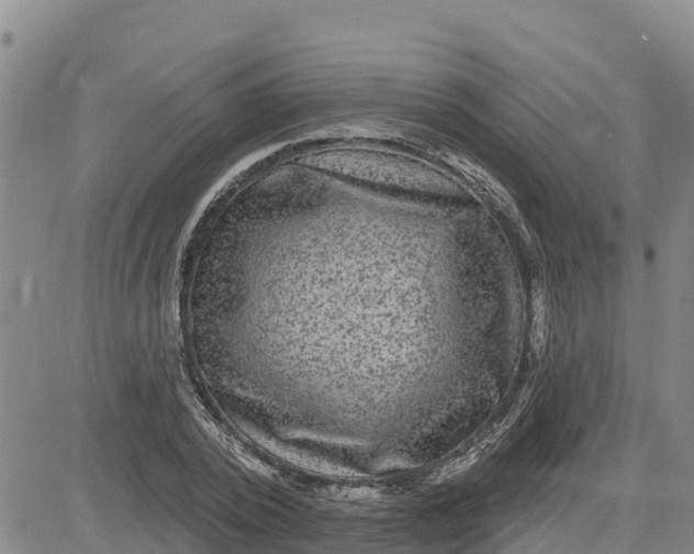 X0000080690784200612301448