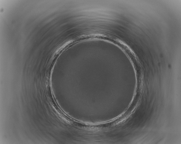 X0000080690785200612301448