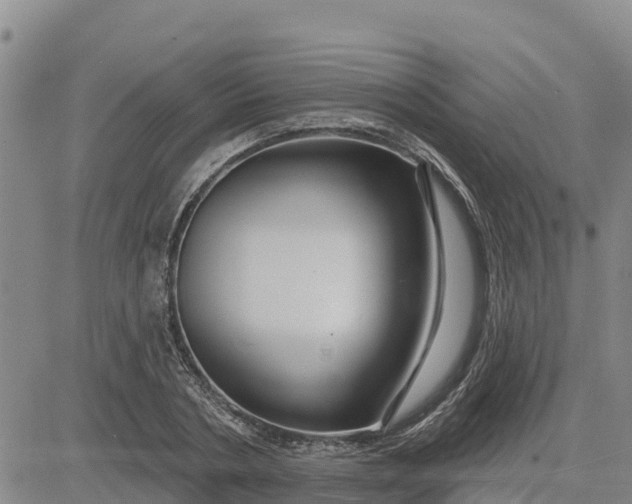 X0000080690786200612301448