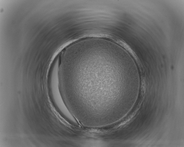 X0000080690787200612301448