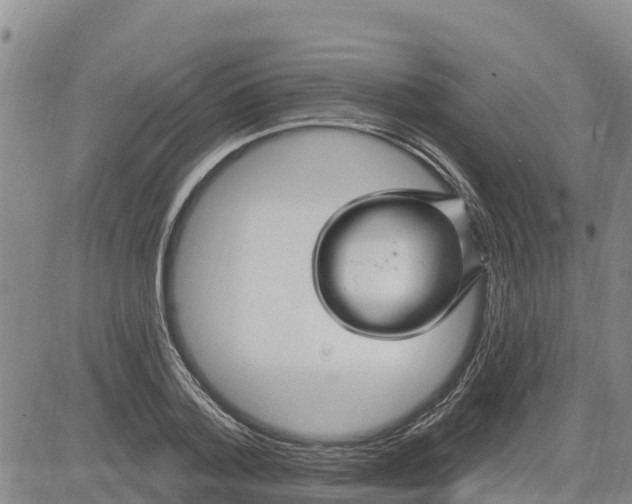 X0000080690788200612301448