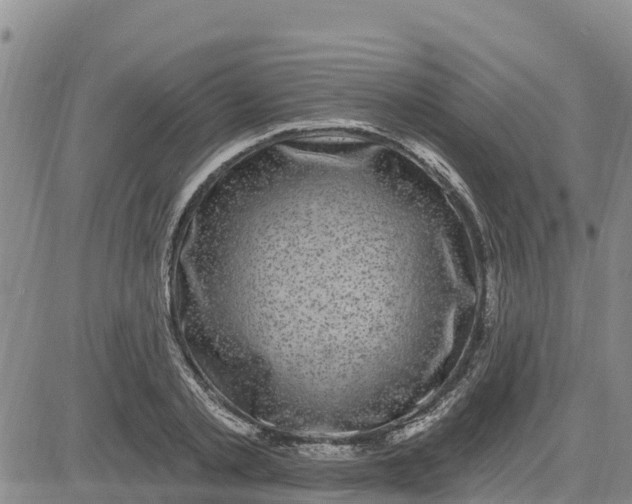 X0000080690789200612301448