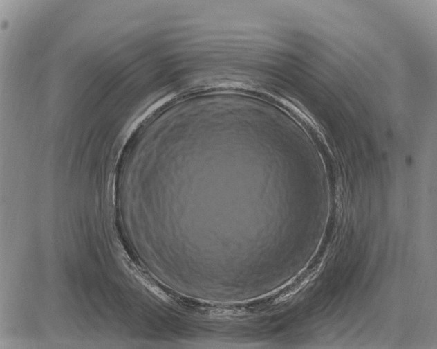 X0000080690790200612301448