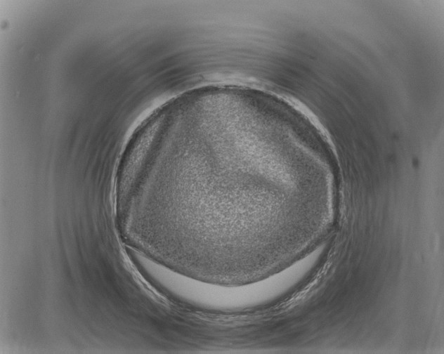 X0000080690791200612301448