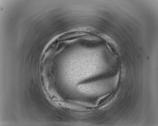 X0000080690792200612301448