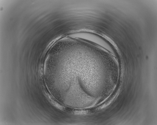 X0000080690793200612301448