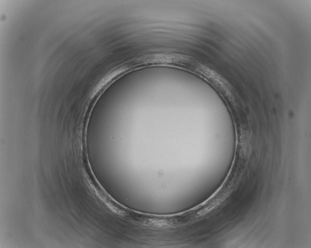 X0000080690794200612301448