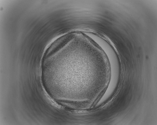 X0000080690795200612301448