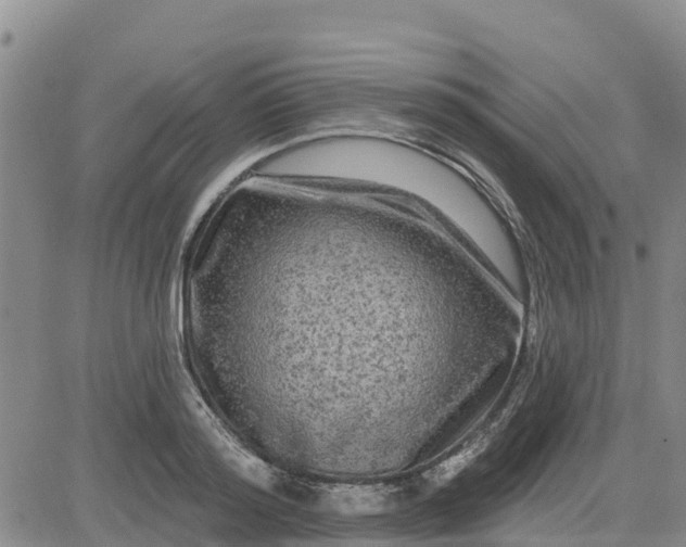 X0000080690796200612301448