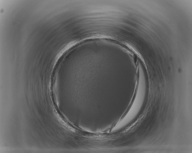 X0000080690797200612301448