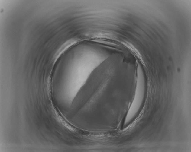 X0000080690798200612301448