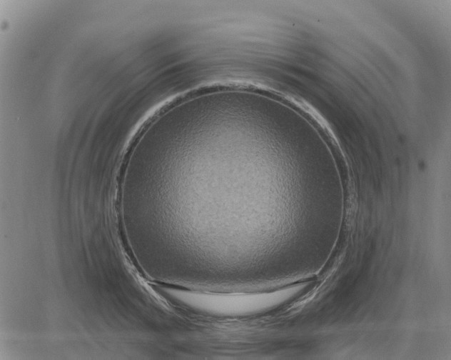 X0000080690799200612301448