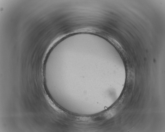 X0000080690800200612301448