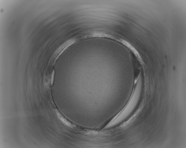 X0000080690801200612301448