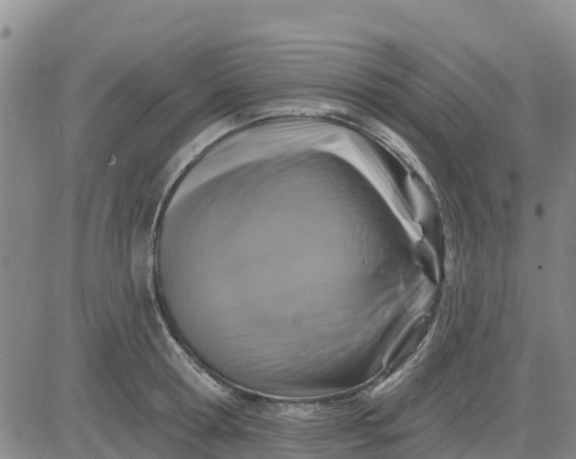 X0000080690802200612301448