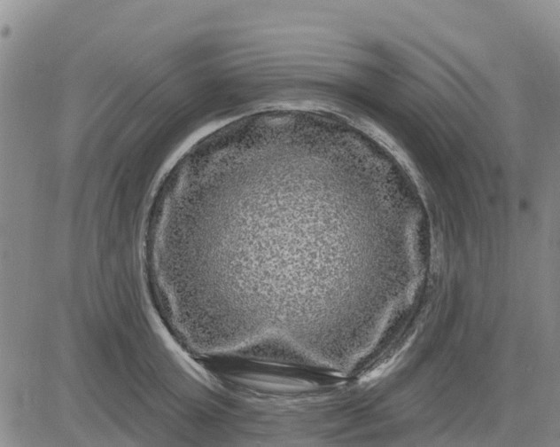 X0000080690803200612301448