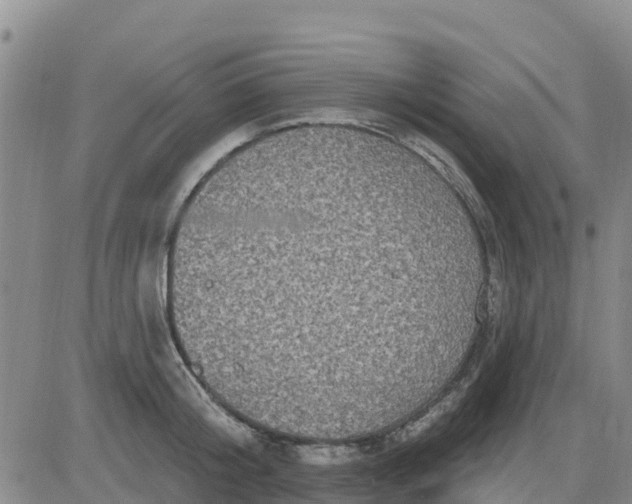 X0000080690804200612301448