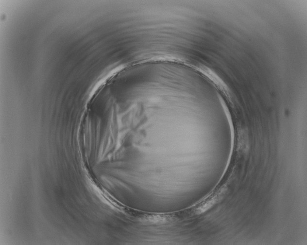 X0000080690806200612301448