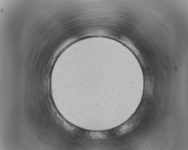 X0000080690807200612301448