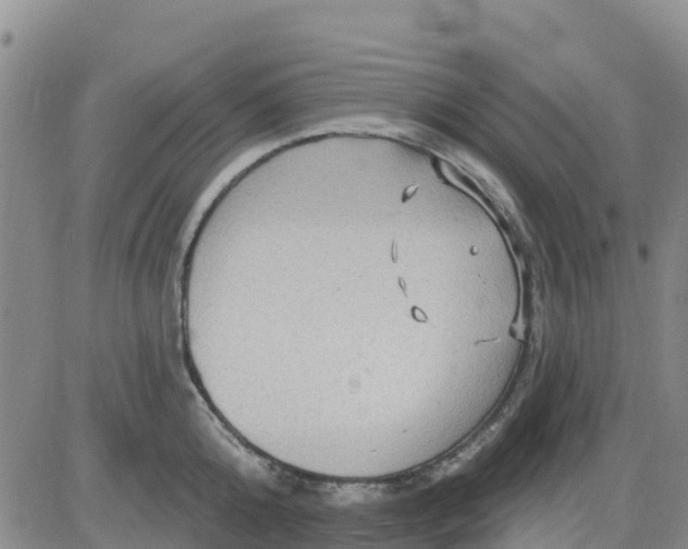 X0000080690808200612301448