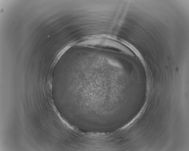 X0000080690809200612301448