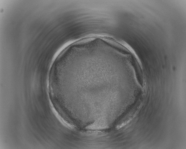 X0000080690811200612301448