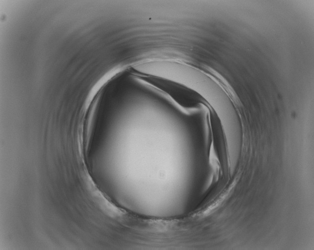 X0000080690812200612301448