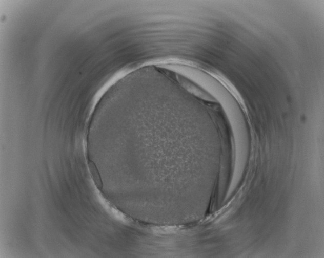 X0000080690813200612301448