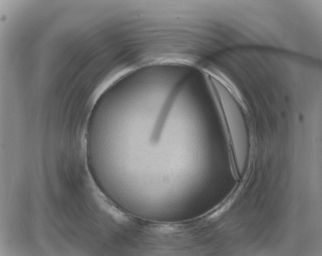 X0000080690814200612301448